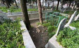 İstanbul’da üç kardeş 20 yıl sonra babalarına dava açtı: Kardeşlerini döverek öldürdüğünü söylediler