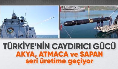Milli denizaltı torpidosu ile seyir ve hava savunma füzeleri seri üretime geçiyor