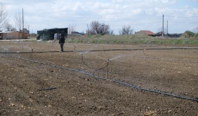 Eskişehir’de çiftçiler en kurak kış nedeniyle tarlalarını 2 ay önceden sulamaya başladı