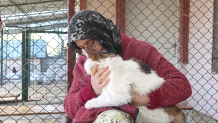 Ankara’da evinin bir katını sokak kedilerine yuva yaptı