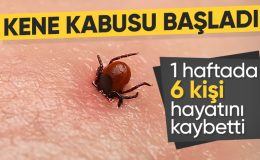 Son dönemde artan tehlike: Kene ısırması nedeniyle 6 kişi hayatını kaybetti